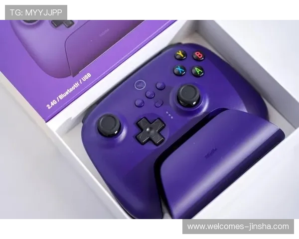 8bitdo猎户座手柄如何提升你的游戏体验与经典游戏兼容性分析